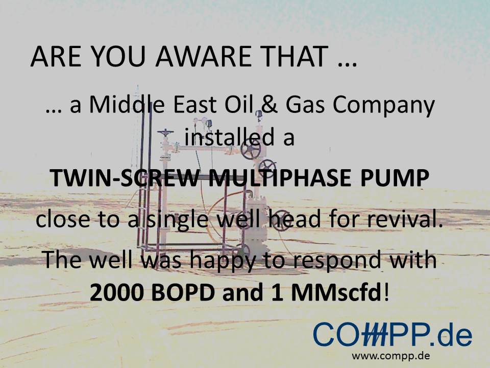 … a Middle East Oil & Gas Company installed a TWIN-SCREW MULTIPHASE PUMP close to a single well head for revival. The well was happy to respond with 2000 BOPD and 1 MMscfd!