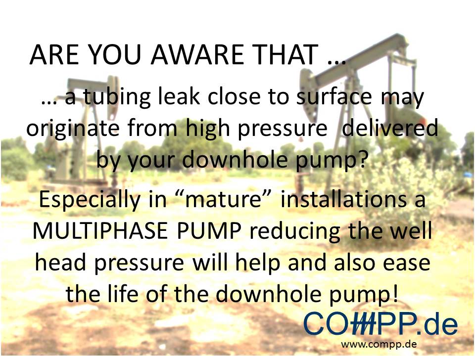 … a tubing leak close to surface may originate from high pressure delivered by your downhole pump? Especially in “mature” installations a MULTIPHASE PUMP reducing the well head pressure will help and also ease the life of the downhole pump!